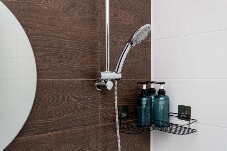 Shower Niche vs Shower Shelf
